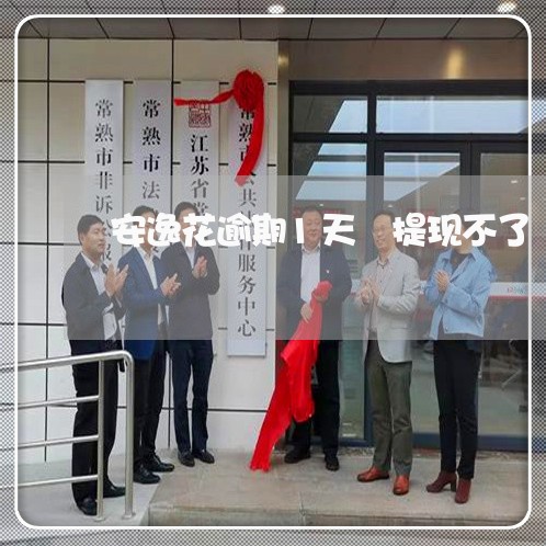安逸花逾期1天 提现不了 安逸花逾期1天 提现不了